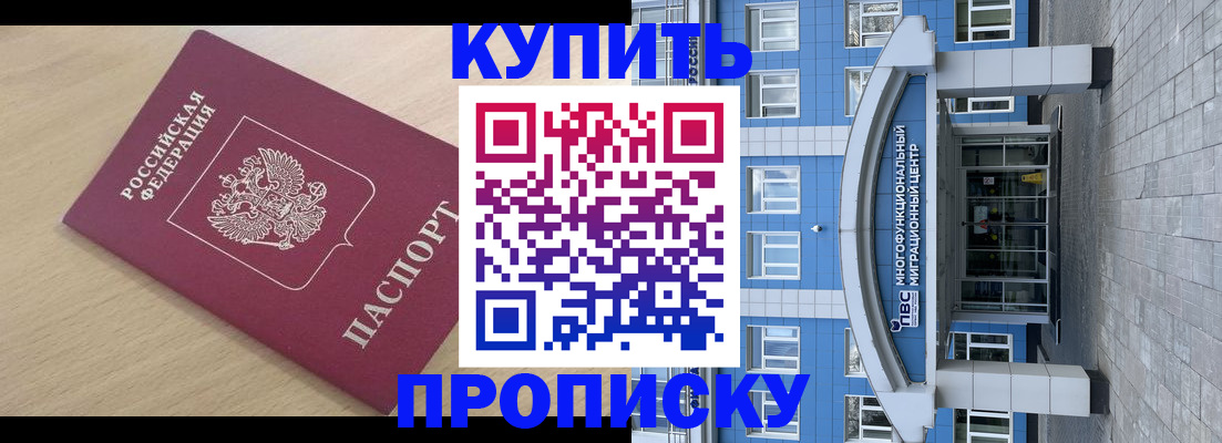 прописка поиск в Сертолово